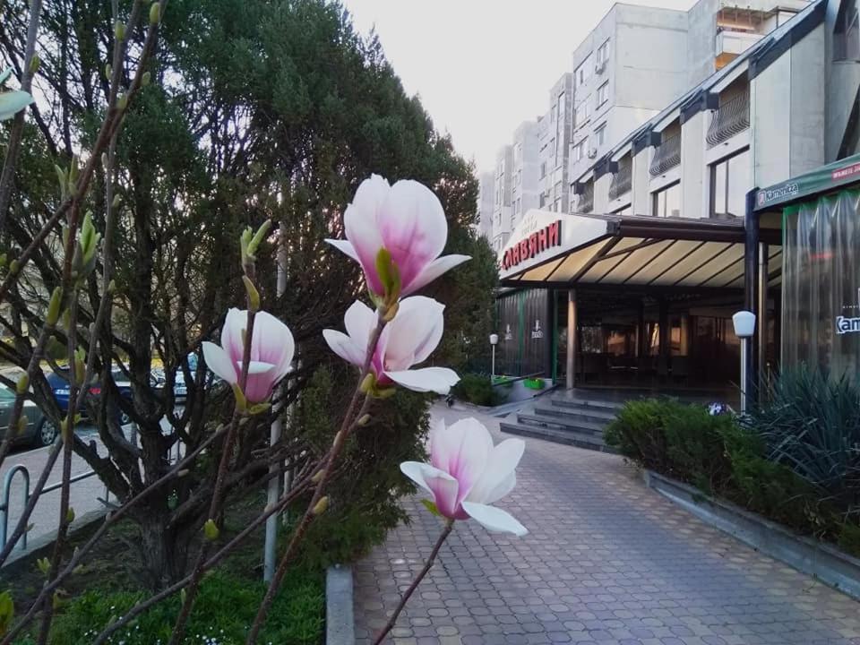Hotel Slaviani Dimitrovgrad  Exteriér fotografie